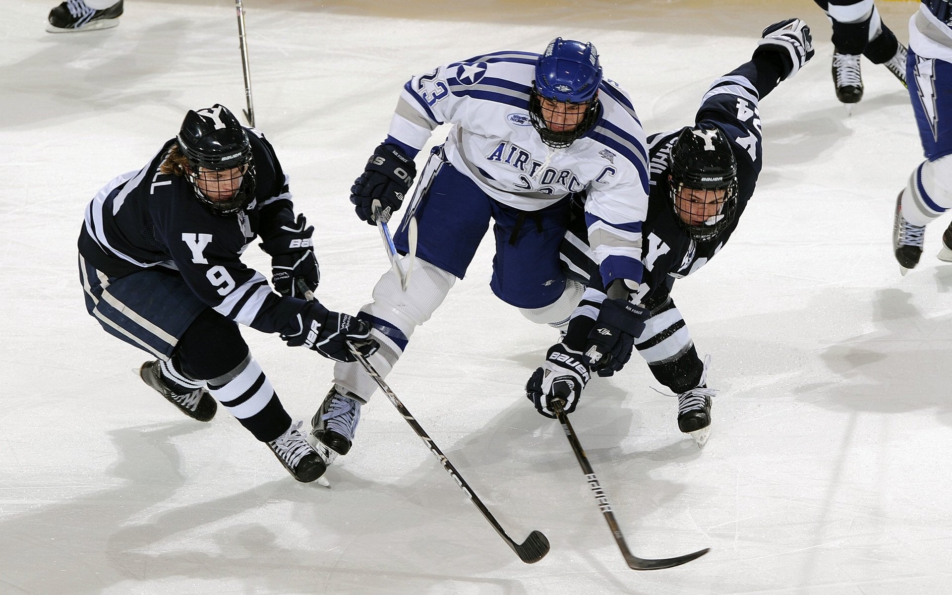 DB电竞分析入口-冰与火的交响，瑞典绝杀奥地利，樊振东高光闪耀